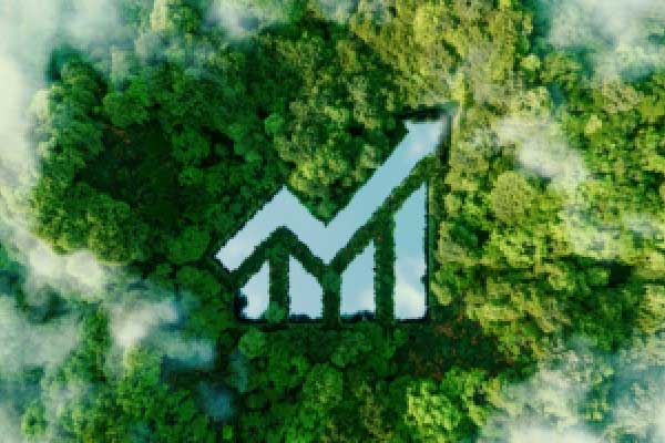 金玉堂：3.31黄金也不能盲目只看多头，晚间看准好点位再交易